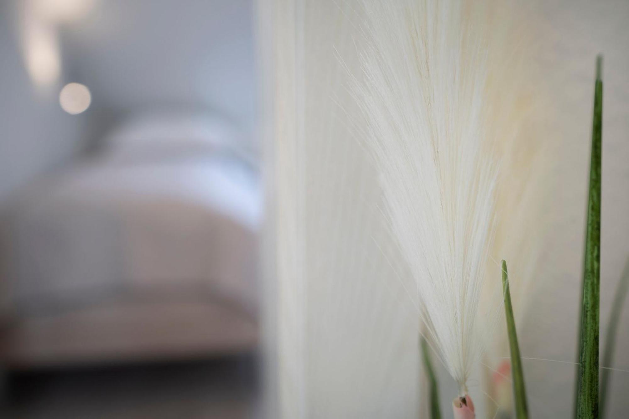 グレーミッツGruental Residenz Gruental Sonneアパートメント エクステリア 写真